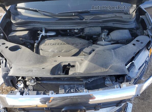 5FPYK3F58RB004045 2024 HONDA RIDGELINE Черный 