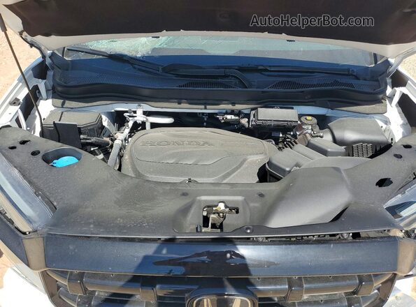 5FPYK3F84SB040931 2025 HONDA RIDGELINE Белый 