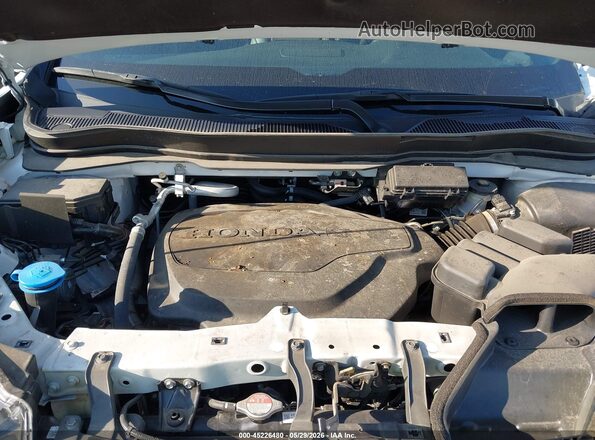 5FPYK3F86RB014907 2024 HONDA RIDGELINE White Вид ззаду