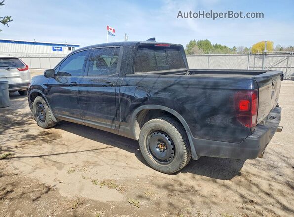5FPYK3F88MB500904 2021 HONDA RIDGELINE Black Tył lewy