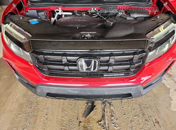 5FPYK3F88SB009651 2025 HONDA RIDGELINE Maroon Вид задньої частини салону