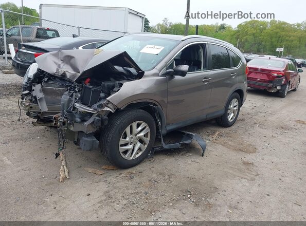 5J6RM4H77GL039451 2016 HONDA CR-V Коричневый 