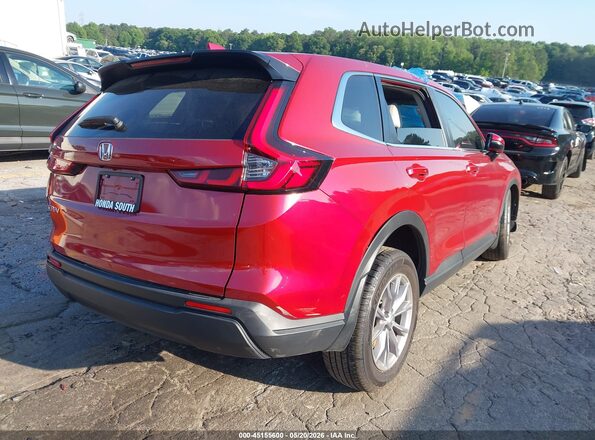 5J6RS3H41RL006678 2024 HONDA CR-V Red Հետևի աջ