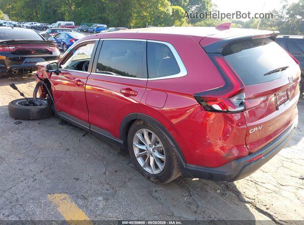 5J6RS3H41RL006678 2024 HONDA CR-V Red Հետևի ձախ
