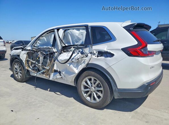 5J6RS3H71RL005783 2024 HONDA CRV White 