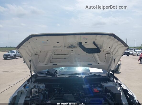 5J6RS3H7XRL008293 2024 HONDA CR-V White Rear view