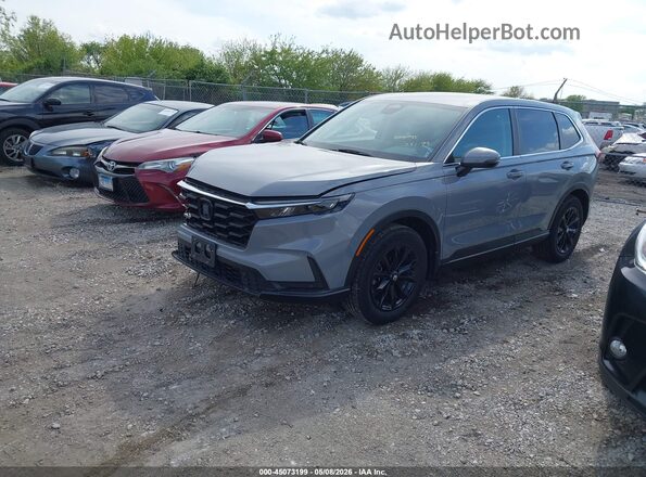 5J6RS4H75RL007882 2024 HONDA CR-V Серый Передняя левая четверть