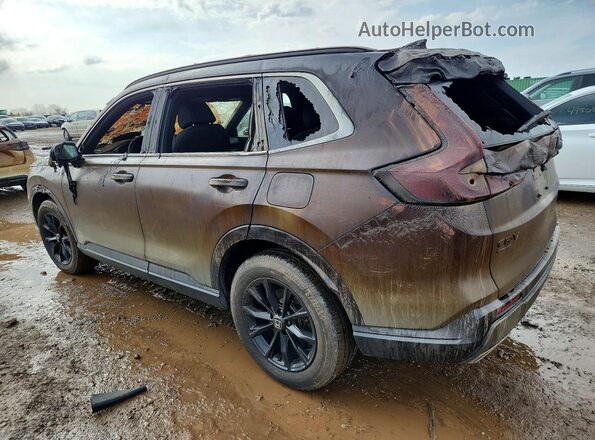 5J6RS6H55PL002074 2023 HONDA CR-V Gray 