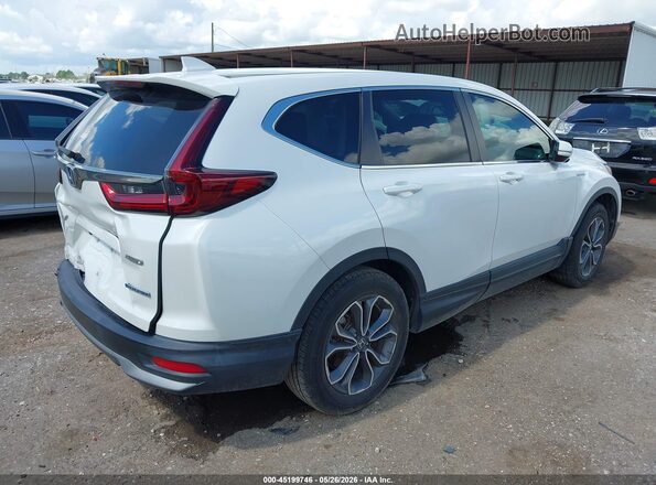 5J6RT6H88NL050642 2022 HONDA CR-V White Tył prawy