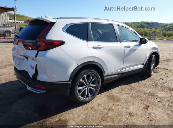 5J6RT6H98NL033588 2022 HONDA CR-V White Tył prawy