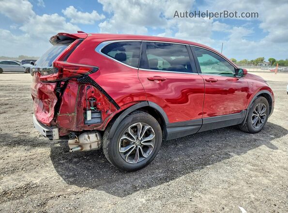 5J6RW1H50LL003568 2020 HONDA CR-V Red Rear right
