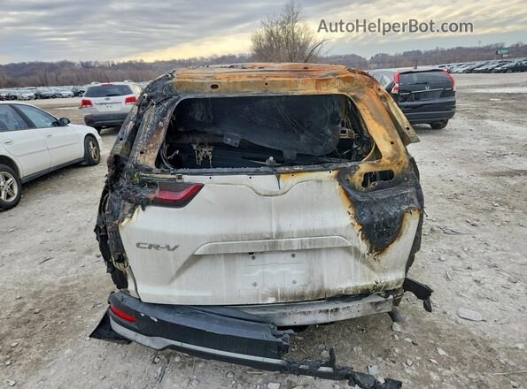 5J6RW1H56LL002649 2020 HONDA CR-V Burn Rear view