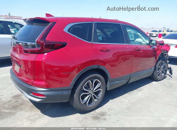 5J6RW1H58MA012807 2021 HONDA CR-V Burgundy უკანა მარჯვენა