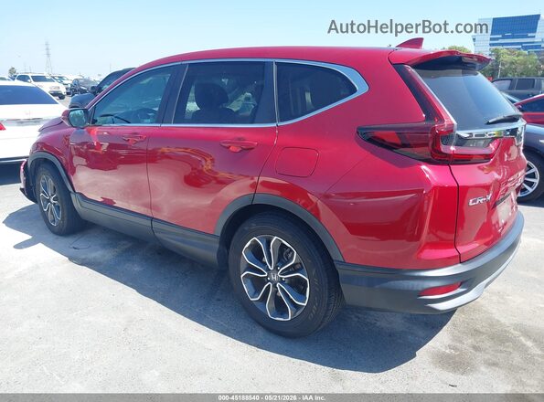 5J6RW1H58MA012807 2021 HONDA CR-V Burgundy უკანა მარცხენა