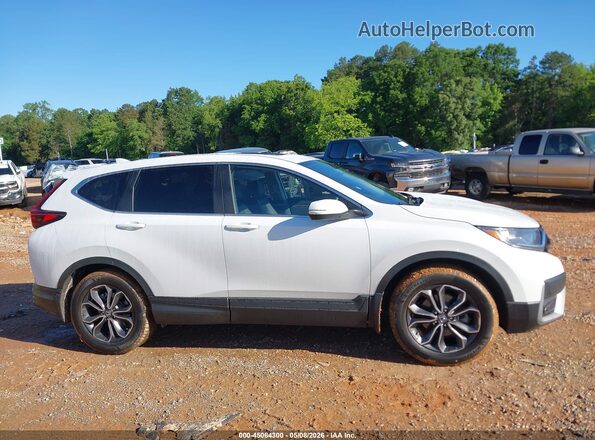 5J6RW1H80LL014788 2020 HONDA CR-V White Widok wnętrza z tyłu