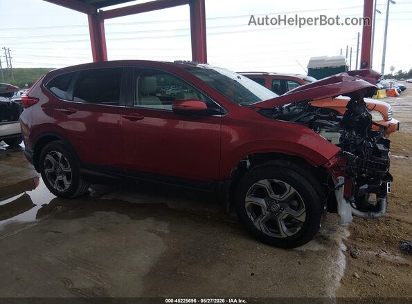 5J6RW1H82JL008357 2018 HONDA CR-V Red Widok wnętrza 360 stopni