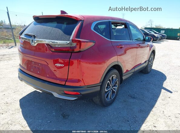 5J6RW2H51ML019558 2021 HONDA CR-V Red Tył prawy