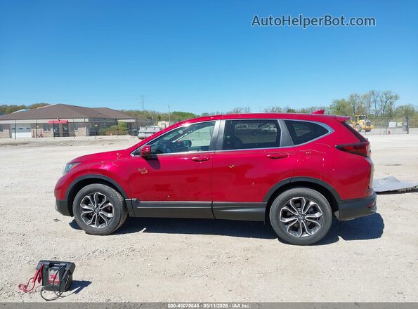 5J6RW2H51ML019558 2021 HONDA CR-V Red Widok wnętrza 360 stopni