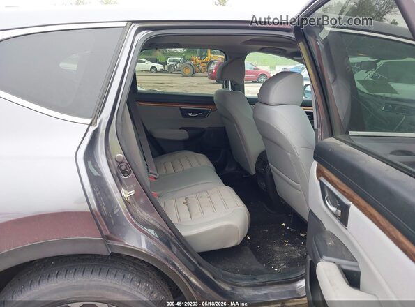 5J6RW2H52HL034155 2017 HONDA CR-V Gray Vista de la etiqueta del VIN