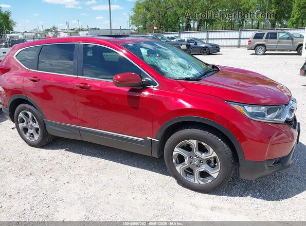 5J6RW2H53KL012415 2019 HONDA CR-V Красный Вид задней части салона