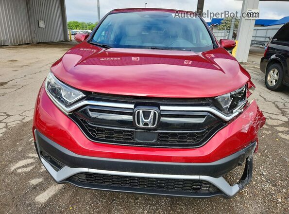 5J6RW2H54NA010916 2022 HONDA CR-V Burgundy Widok z przodu