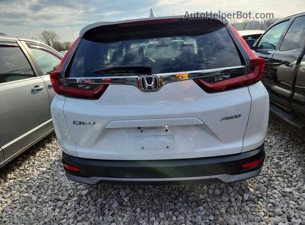 5J6RW2H58LL001895 2020 HONDA CR-V White Rear view