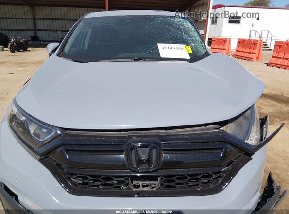 5J6RW2H59MA014555 2021 HONDA CR-V Gray უკანა ხედი