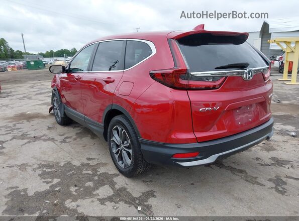 5J6RW2H82MA016044 2021 HONDA CR-V Red უკანა მარცხენა