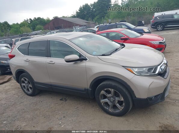 5J6RW2H83HL024471 2017 HONDA CR-V Tan Սալոնի հետևի տեսք