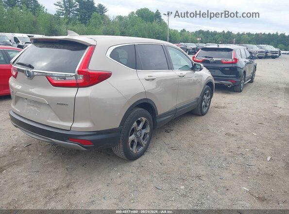 5J6RW2H83HL024471 2017 HONDA CR-V Tan Հետևի աջ