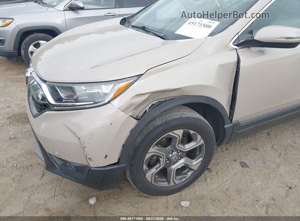 5J6RW2H83HL024471 2017 HONDA CR-V Tan Դիմացի տեսք