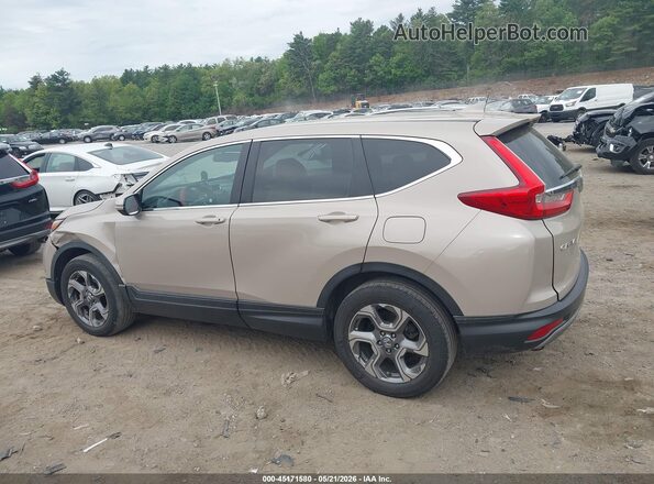 5J6RW2H83HL024471 2017 HONDA CR-V Tan Սալոնի 360 աստիճան տեսք