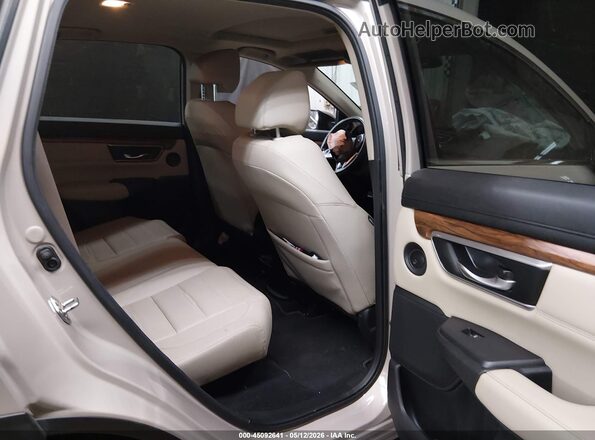 5J6RW2H85KL006481 2019 HONDA CR-V Tan Вид наклейки з VIN-кодом