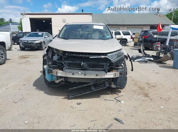 5J6RW2H8XHL024659 2017 HONDA CR-V Beige Սալոնի հետևի տեսք