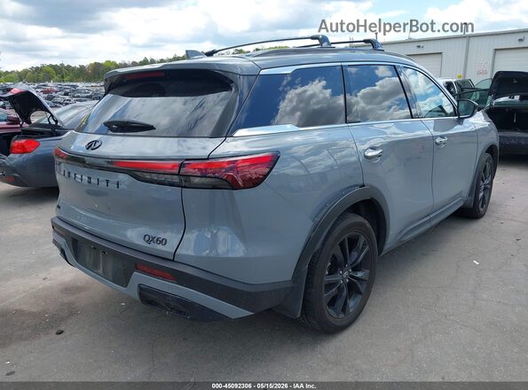 5N1AL1FS1SC355086 2025 INFINITI QX60 Gray Tył prawy