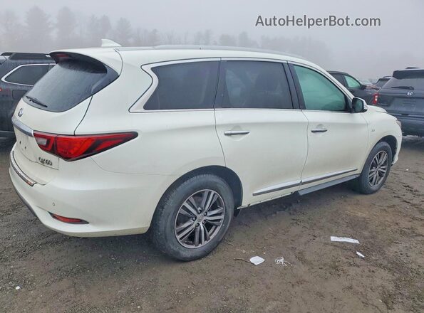 5N1DL0MM8KC504556 2019 INFINITI QX60 White 