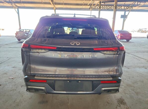 5N1DL1GR8PC331996 2023 INFINITI QX60 Gray Widok z tyłu