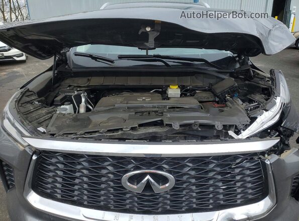5N1DL1GS3PC369588 2023 INFINITI QX60 Gray უკანა სალონის ხედი