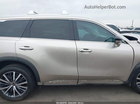 5N1DL1GS9PC359728 2023 INFINITI QX60 Gold Սալոնի 360 աստիճան տեսք