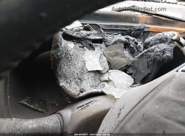 5N1DR2CM7LC619047 2020 NISSAN PATHFINDER Black უკანა სავარძლების ხედი
