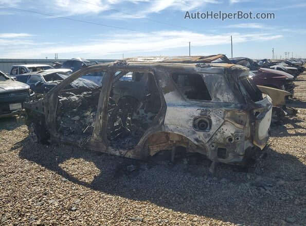 5N1DR3BD4RC264256 2024 NISSAN PATHFINDER Burn Tył lewy