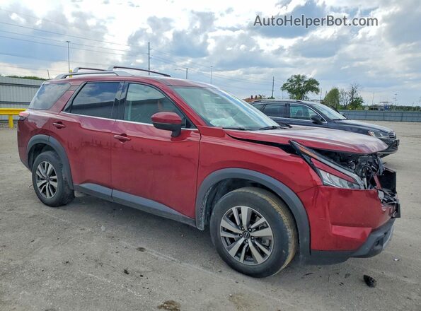 5N1DR3CC3PC220932 2023 NISSAN PATHFINDER Burgundy Передня права чверть