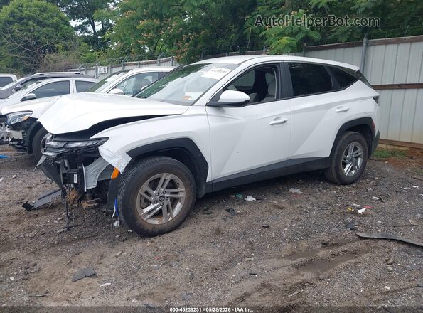5NMJACDEXSH557686 2025 HYUNDAI TUCSON White Առջևի ձախ երեք քառորդ տեսարան