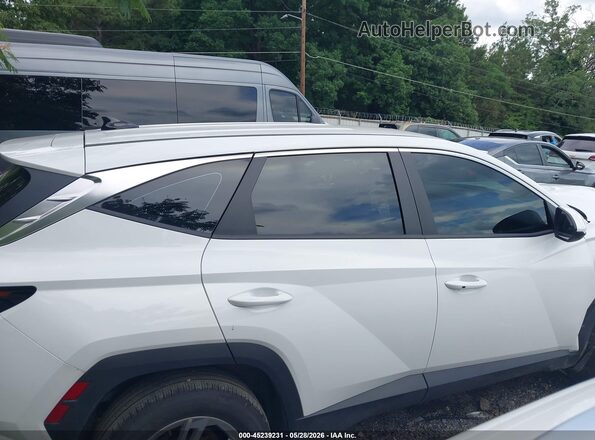 5NMJACDEXSH557686 2025 HYUNDAI TUCSON White Սալոնի հետևի տեսք
