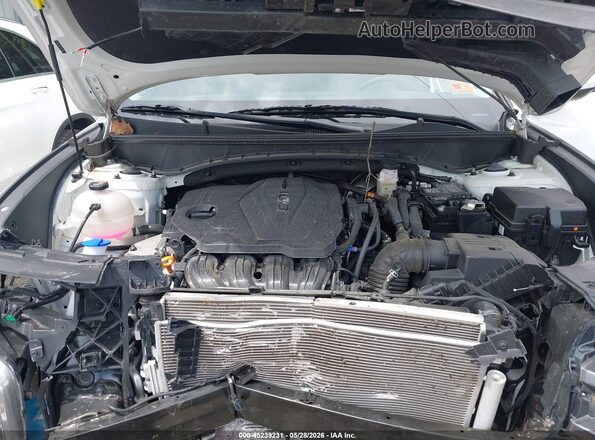5NMJACDEXSH557686 2025 HYUNDAI TUCSON White Հետևի տեսք