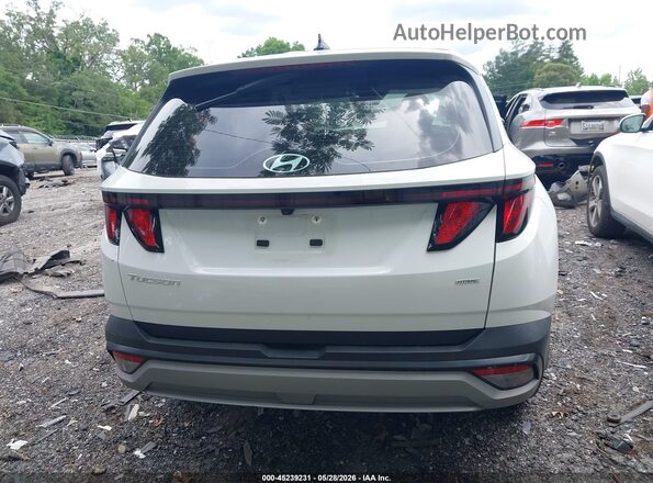 5NMJACDEXSH557686 2025 HYUNDAI TUCSON White 