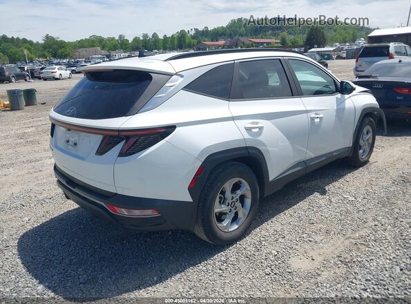 5NMJB3AE8NH064417 2022 HYUNDAI TUCSON White Задня права чверть