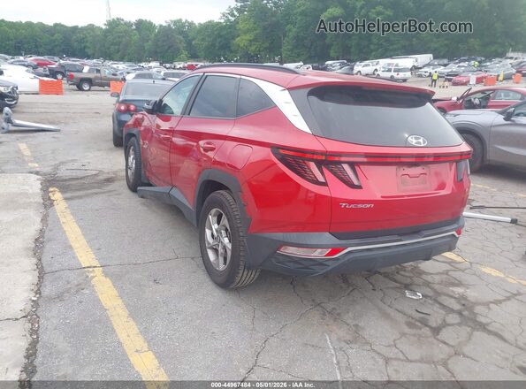 5NMJB3AE8NH109825 2022 HYUNDAI TUCSON Red Задня ліва чверть
