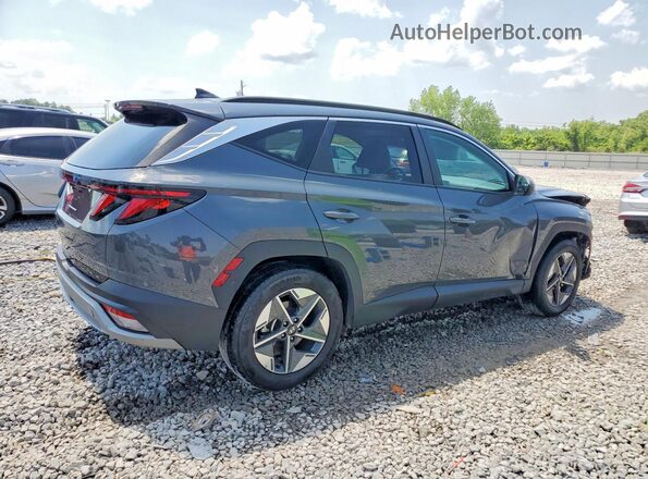 5NMJB3DE9SH483352 2025 HYUNDAI TUCSON Серый 