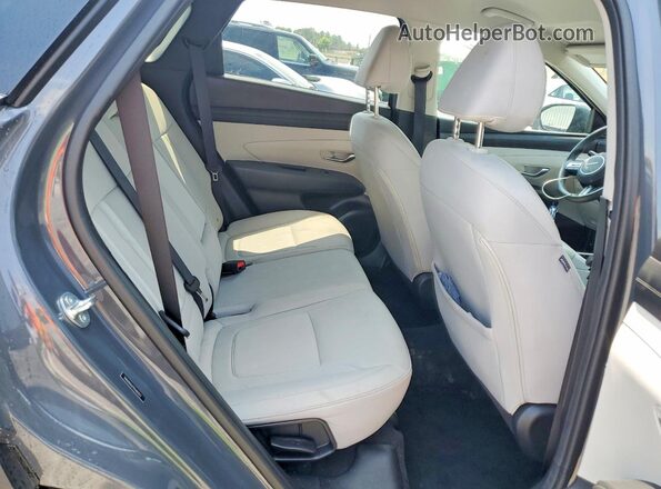 5NMJB3DE9SH483352 2025 HYUNDAI TUCSON Серый 